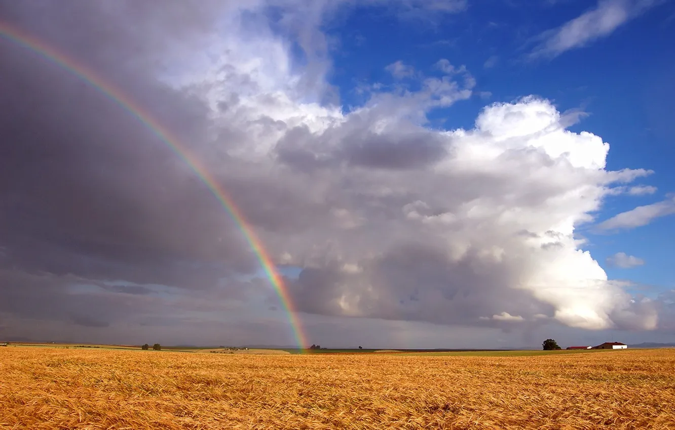 Фото обои поле, облака, радуга