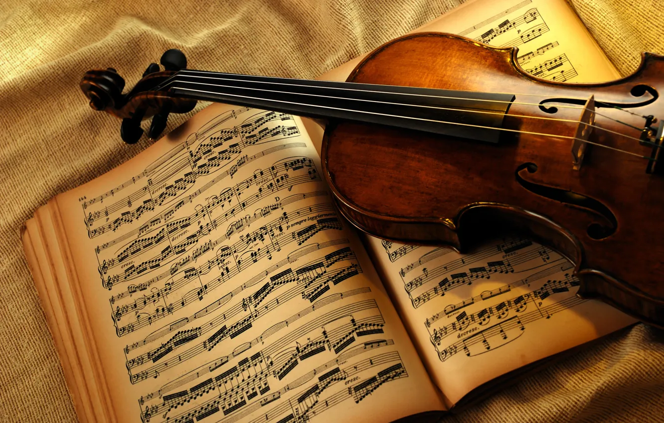 Фото обои ноты, скрипка, книга