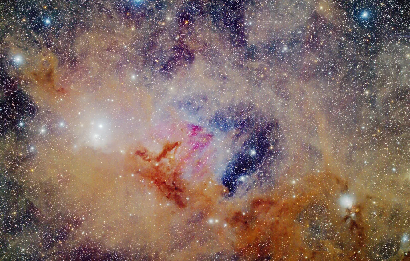 Фото обои космос, туманности, NGC1333, IC348