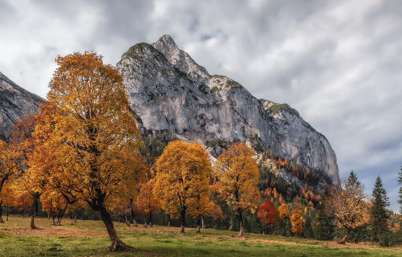 Фото обои осень, природа, гора