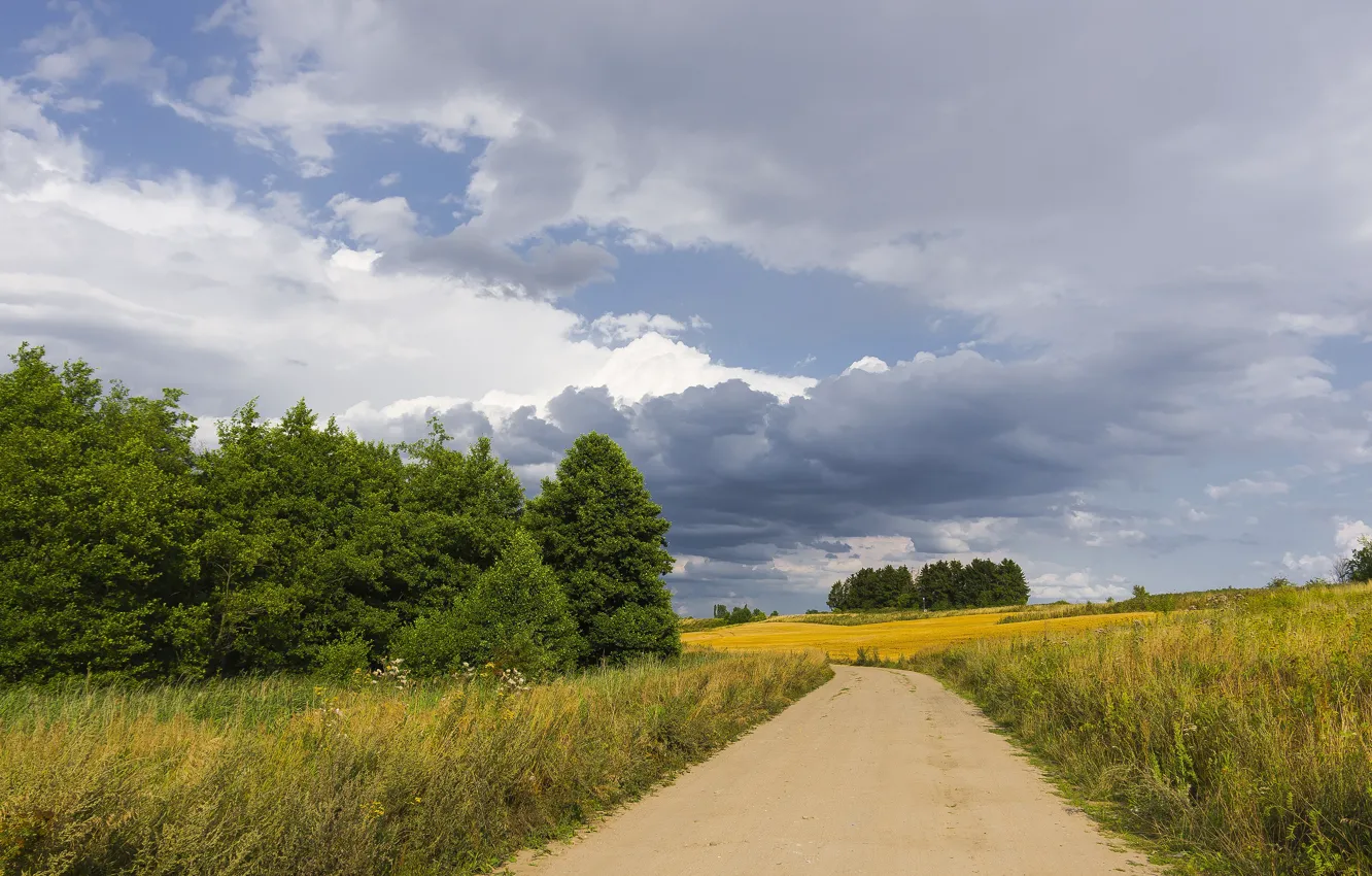 Фото обои дорога, поле, лес, лето, небо, трава, облака, путь