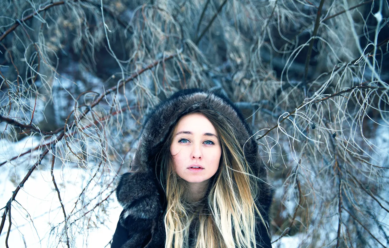 Фото обои взгляд, капюшон, Lichon, Self-portrait