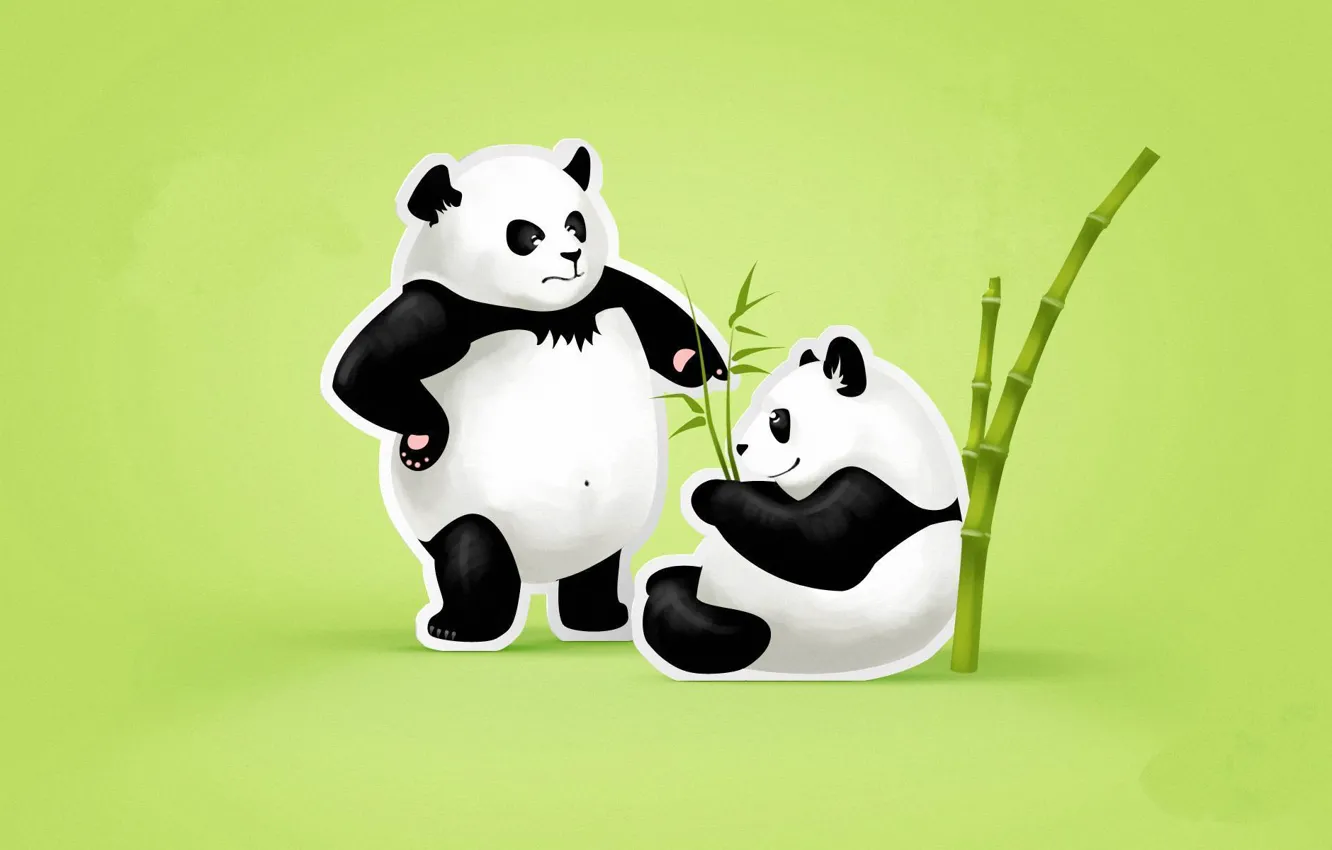 Фото обои листья, бамбук, пара, зеленый фон, панды