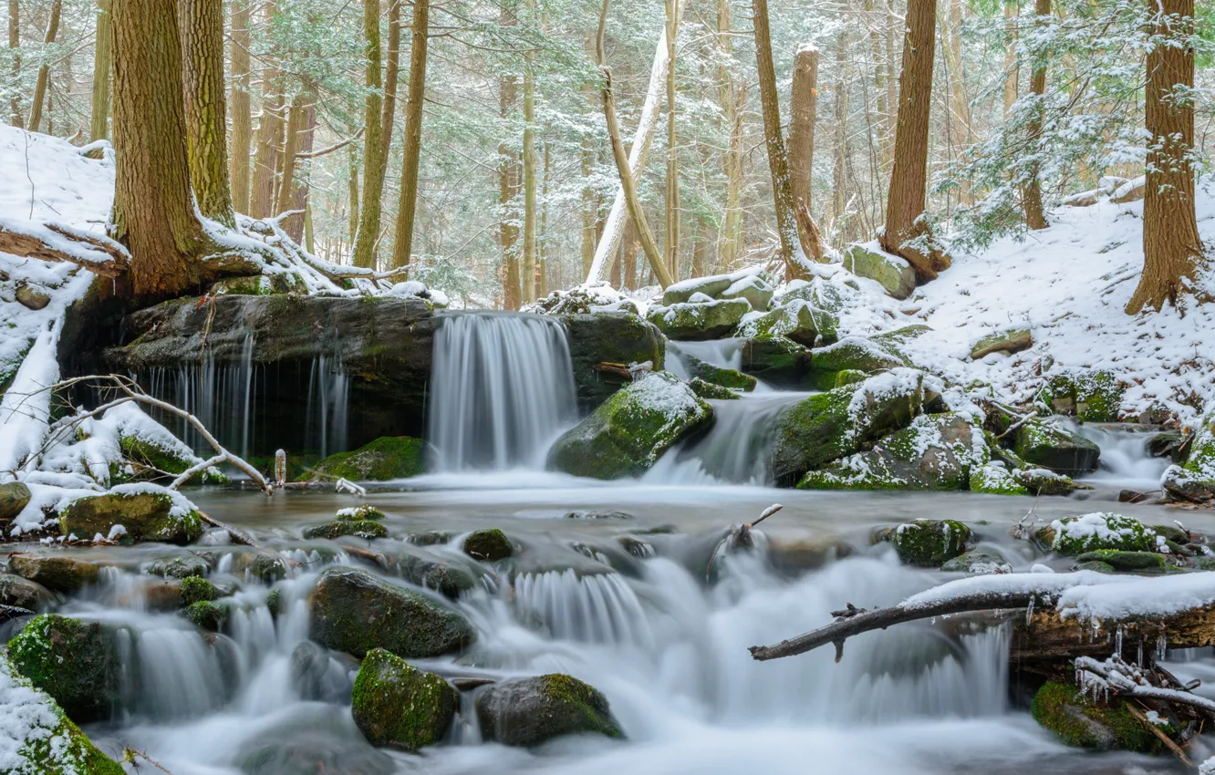 Фото обои Природа, Зима, Водопад, Деревья, Река, Снег, Лес