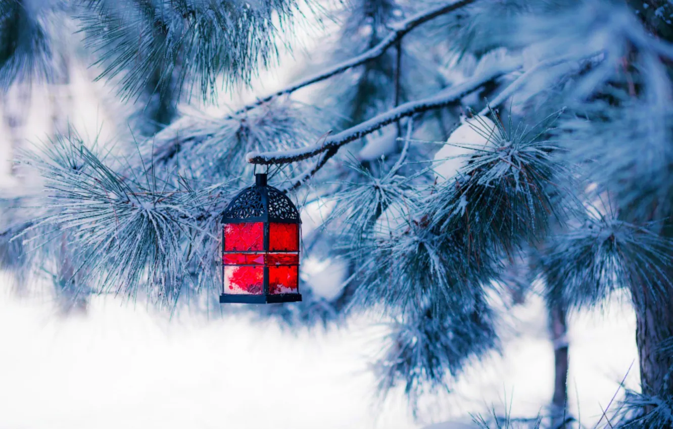 Фото обои зима, снег, елка, новый год, рождество, фонарь