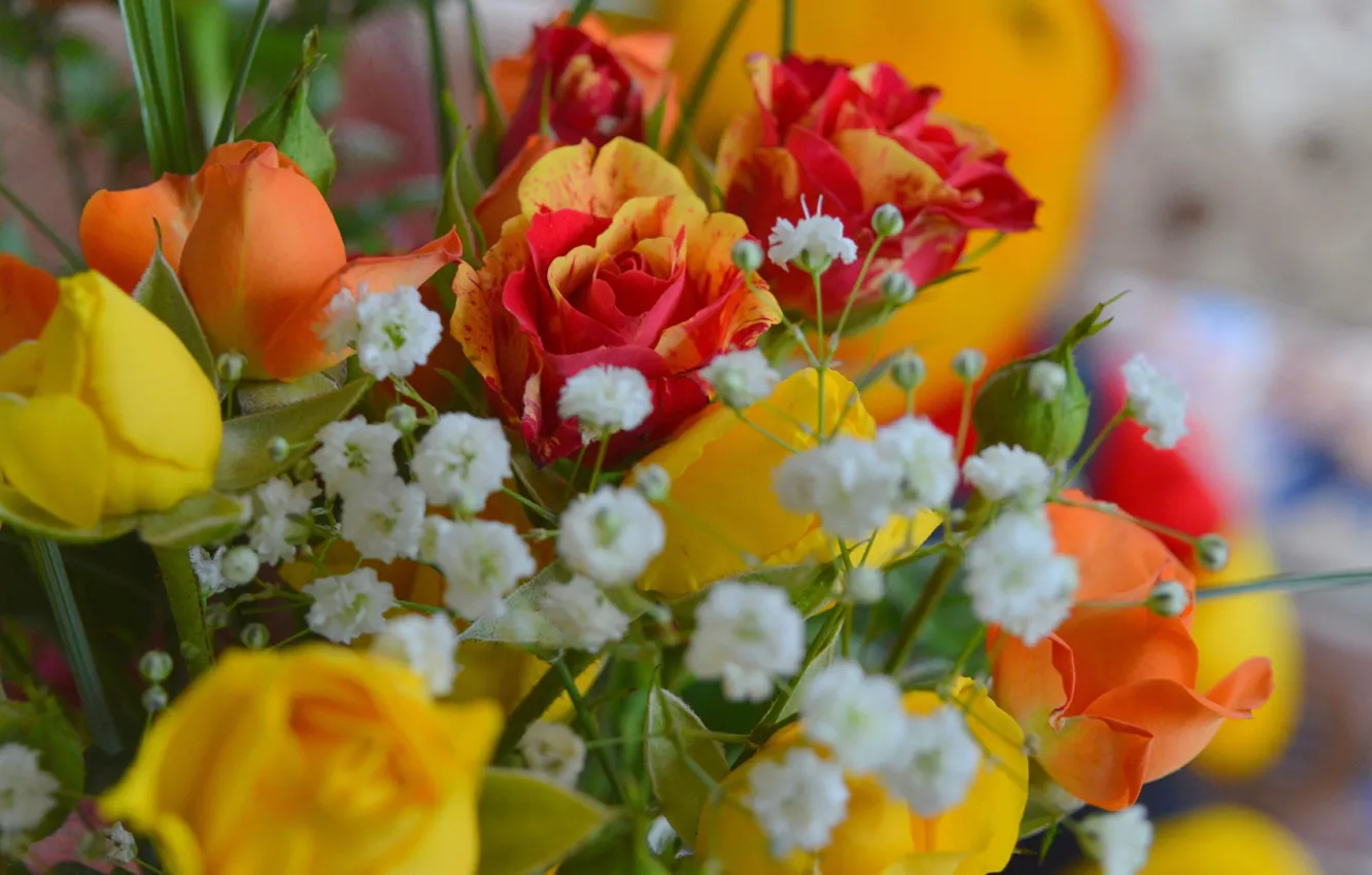 Фото обои Цветы, Букет, Розы, Flowers, Roses, Bouquet, гипсофила