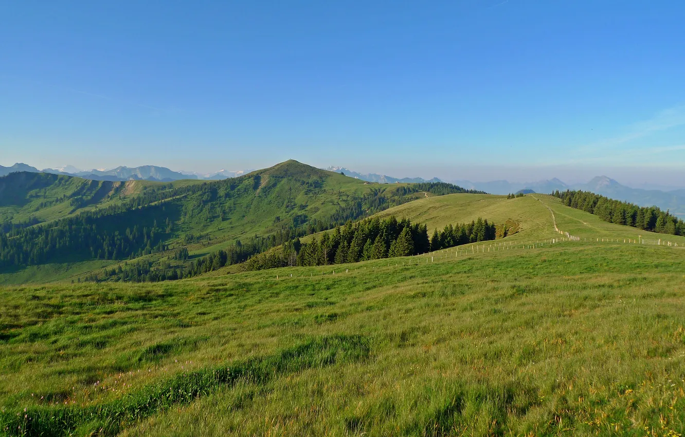 Фото обои зелень, небо, трава, деревья, горы, голубое, поля, Швейцария
