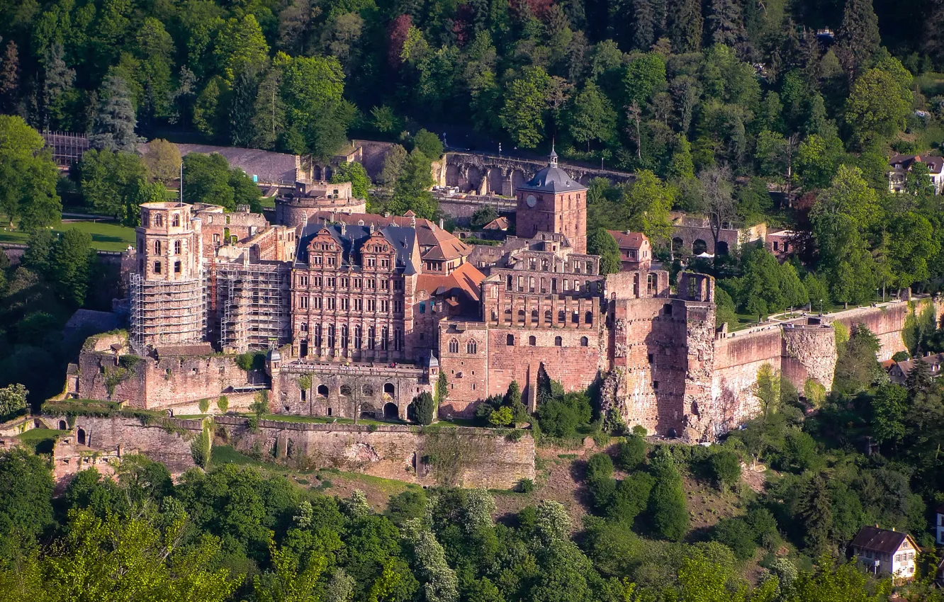 Фото обои лес, деревья, замок, Германия, вид сверху, Heidelberg Castle