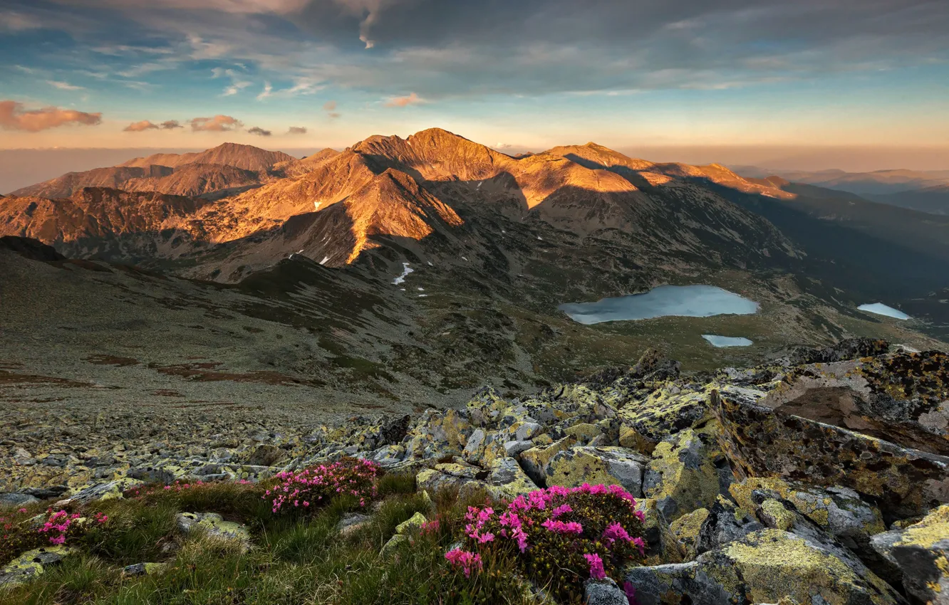 Фото обои трава, закат, цветы, горы, камни, озёра, Румыния, рододендроны