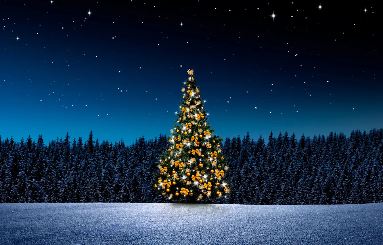 Фото обои light, forest, sky, night, winter, snow, stars, window