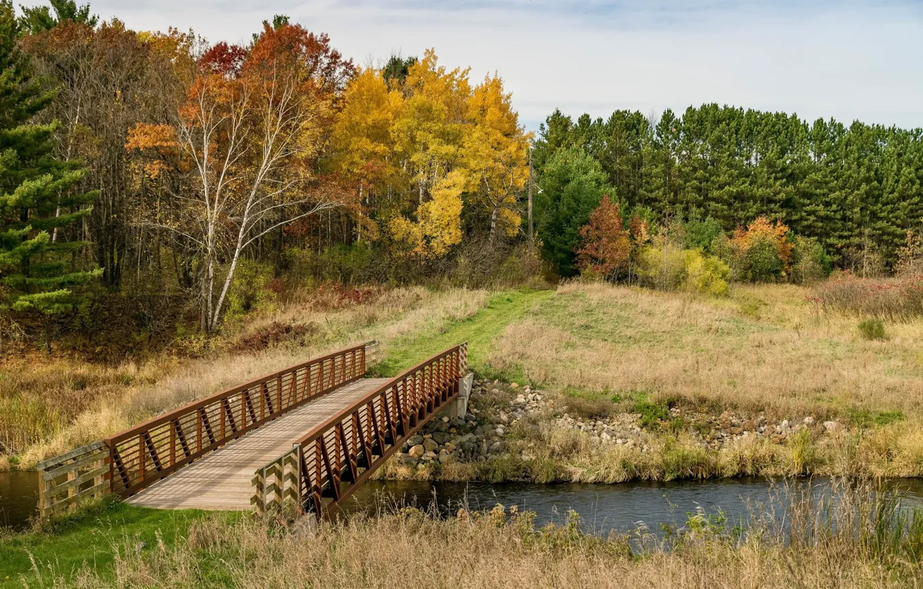Фото обои поле, осень, пейзаж, мост, природа, река, красота, простор
