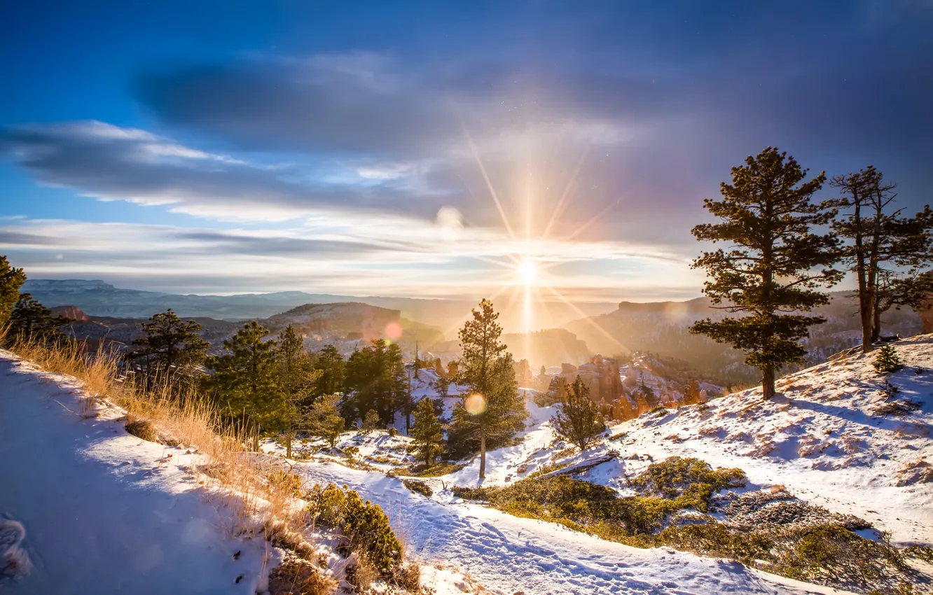 Фото обои зима, солнце, пейзаж, природа, рассвет