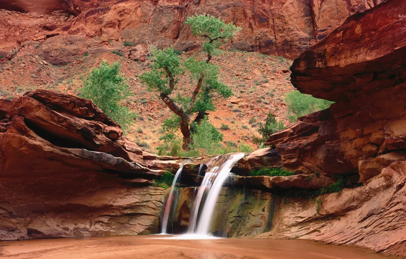 Фото обои деревья, камни, скалы, водопад, каньон