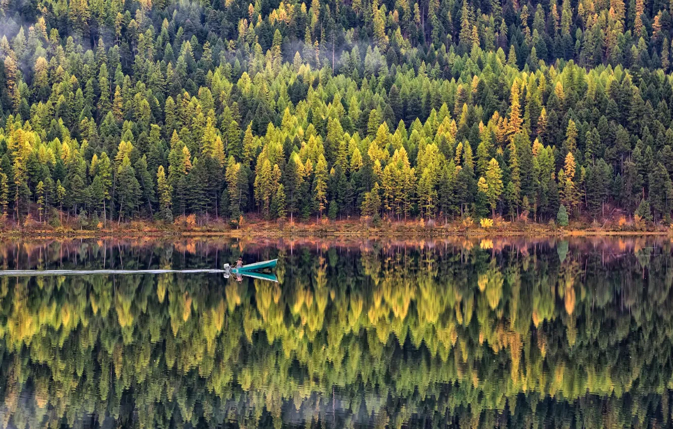 Фото обои лес, вода, деревья, озеро, отражение, лодка