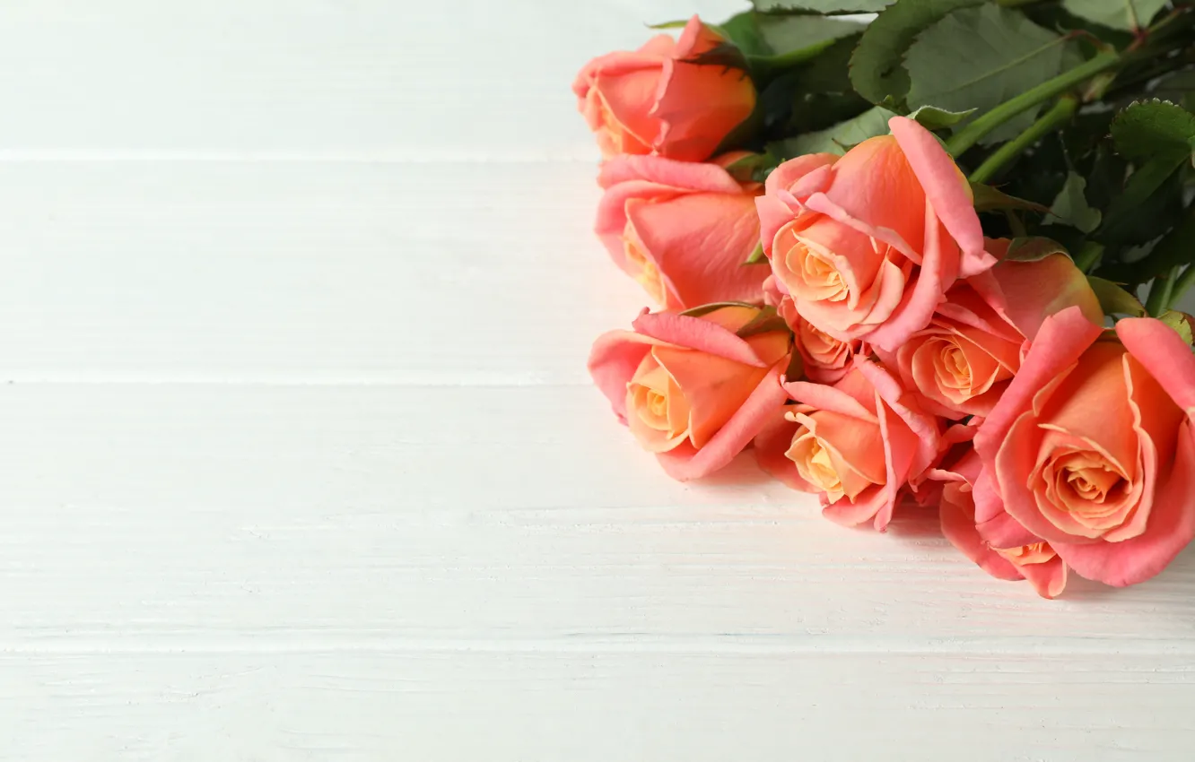 Фото обои розы, букет, красивые, Atlascompany