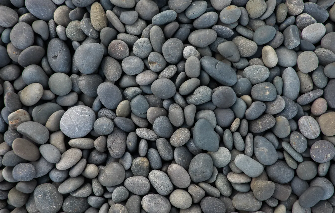 Фото обои галька, камни, фон, берег, текстура, круглые, россыпь, серые
