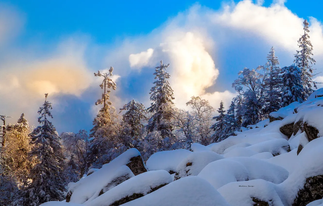 Фото обои cloud, winter, snow