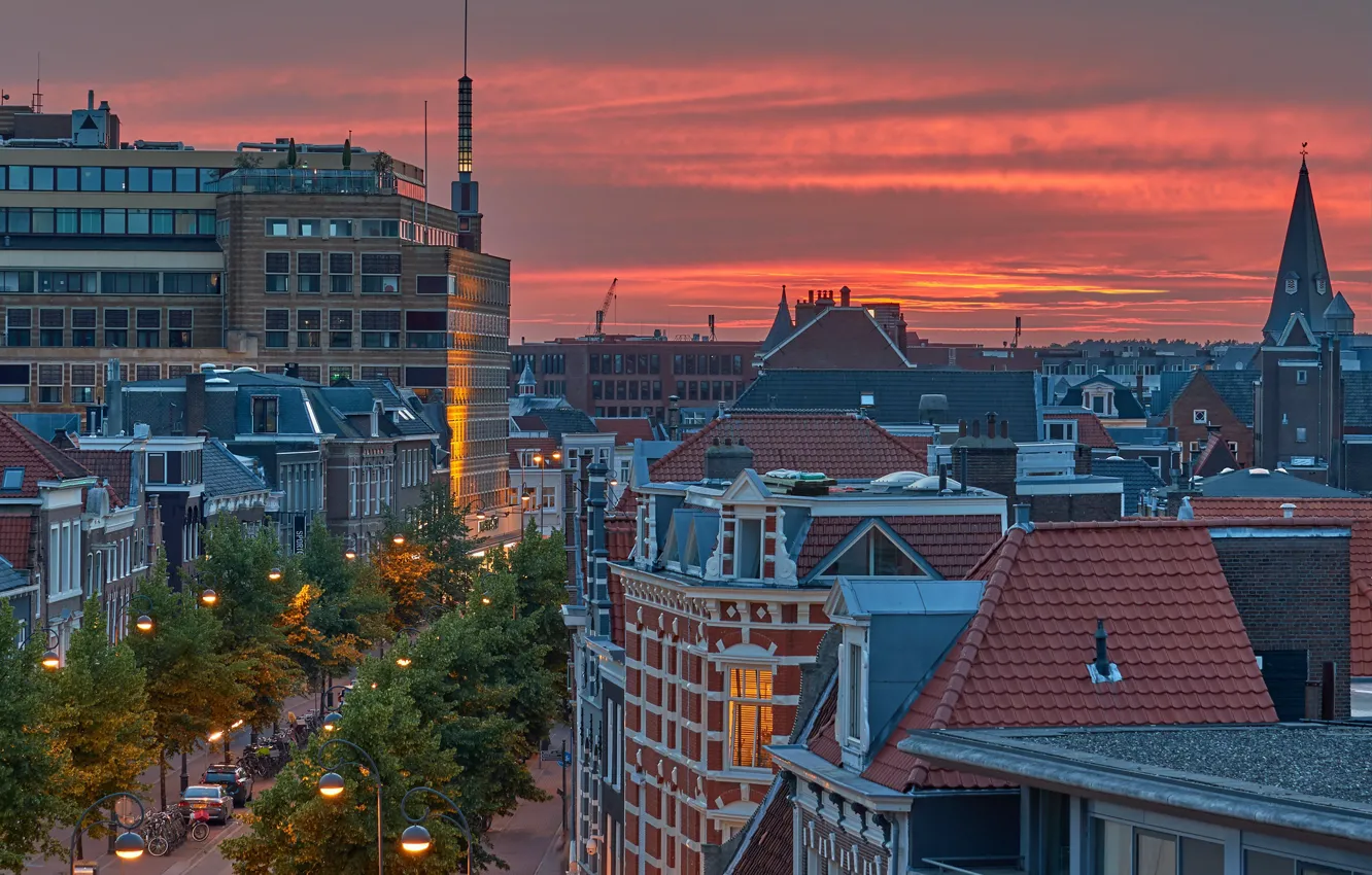 Фото обои Нидерланды, Голландия, Haarlem