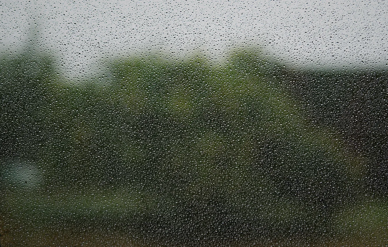 Фото обои капли, деревья, тучи, дождь, размытость, окно