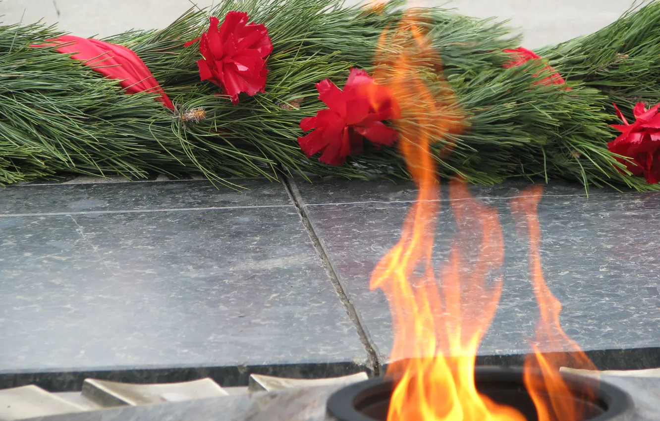 Фото обои цветы, память, праздник, 9 мая, вечный огонь, День Победы, священный