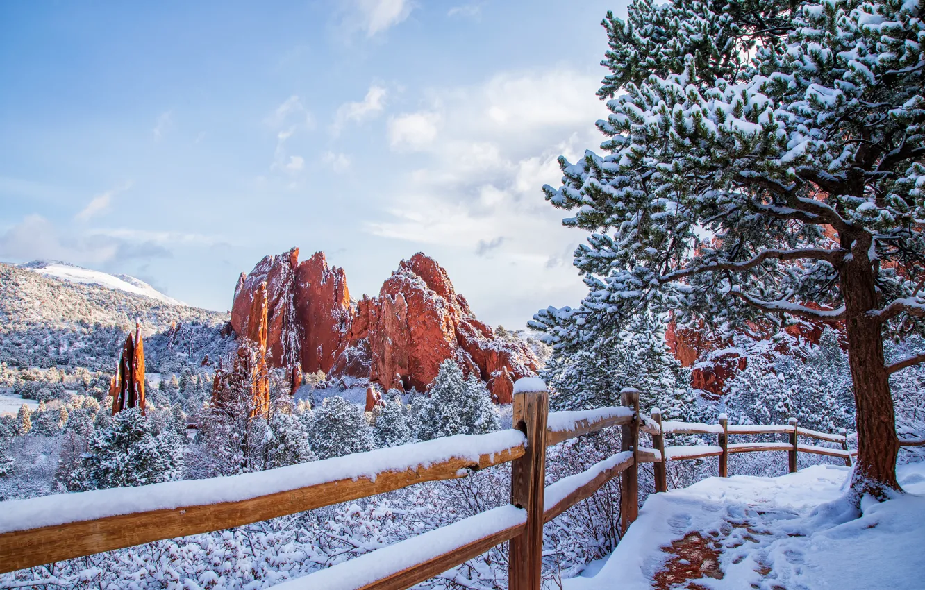 Фото обои зима, лес, облака, снег, деревья, пейзаж, горы, ветки