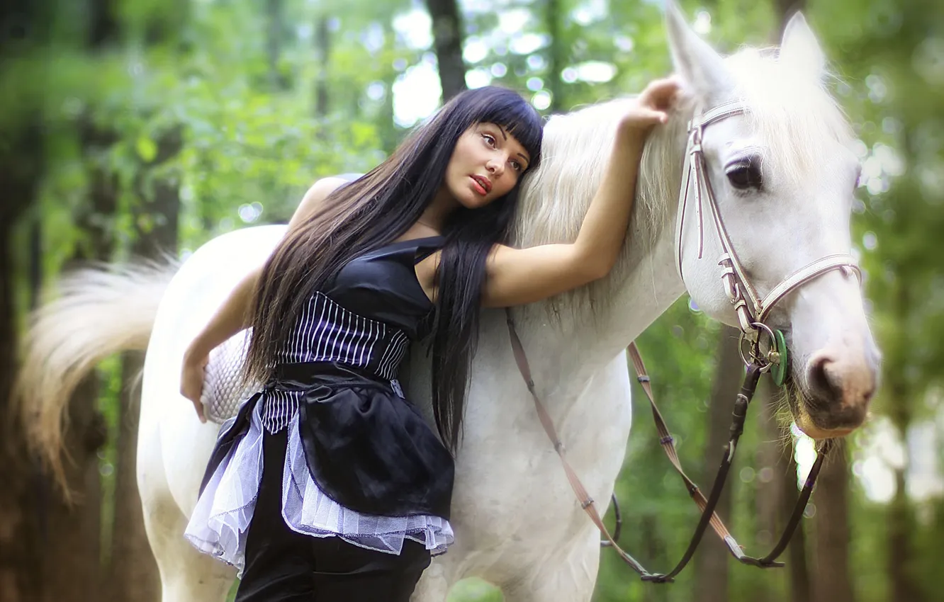 Фото обои лес, Девушка, брюнетка, белая лошадь