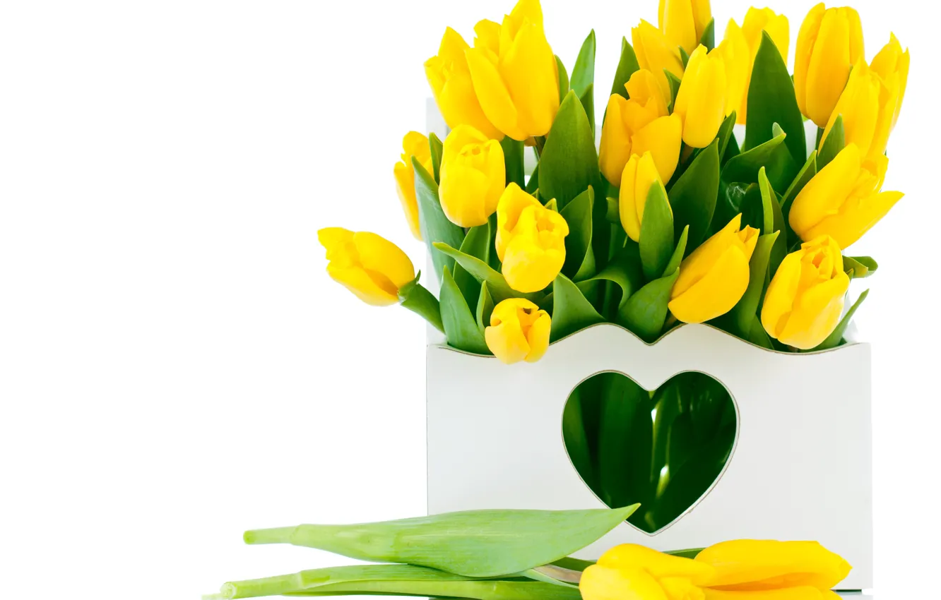 Фото обои цветы, букет, тюльпаны, желтые тюльпаны