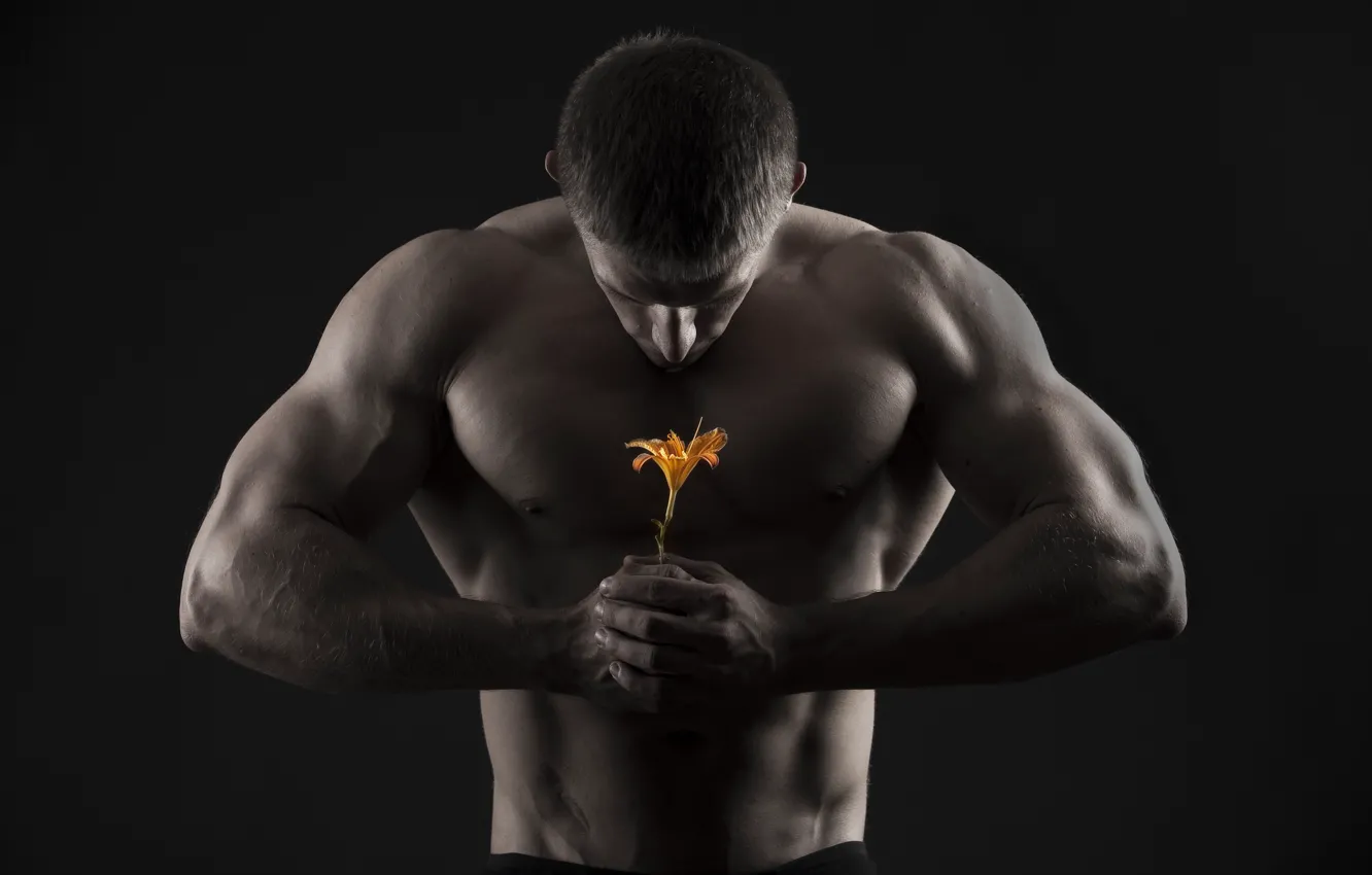 Фото обои цветок, мышцы, мушчина
