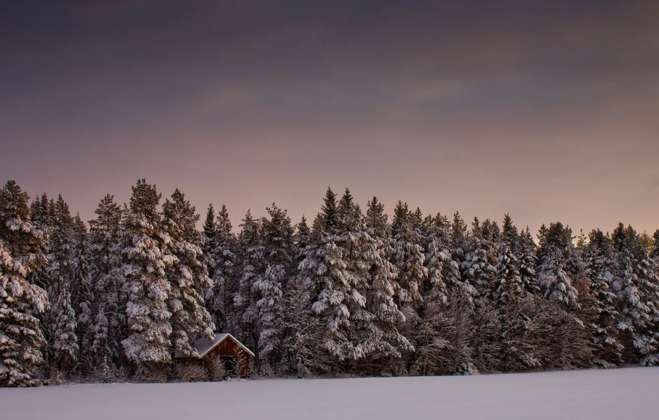 Фото обои лес, снег, деревья, дом, Зима
