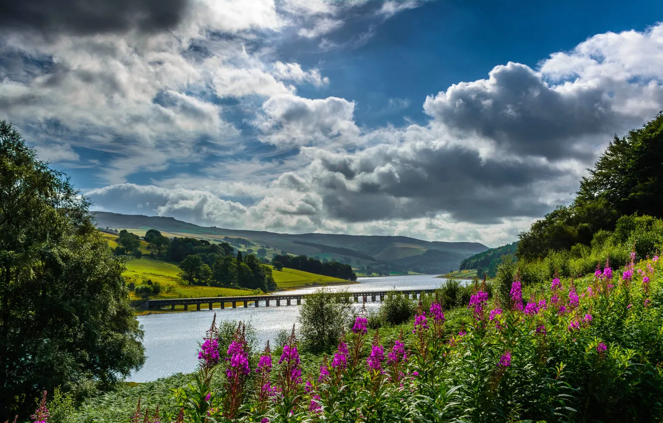 Фото обои облака, цветы, мост, Англия, долина, England, Derbyshire, Дербишир
