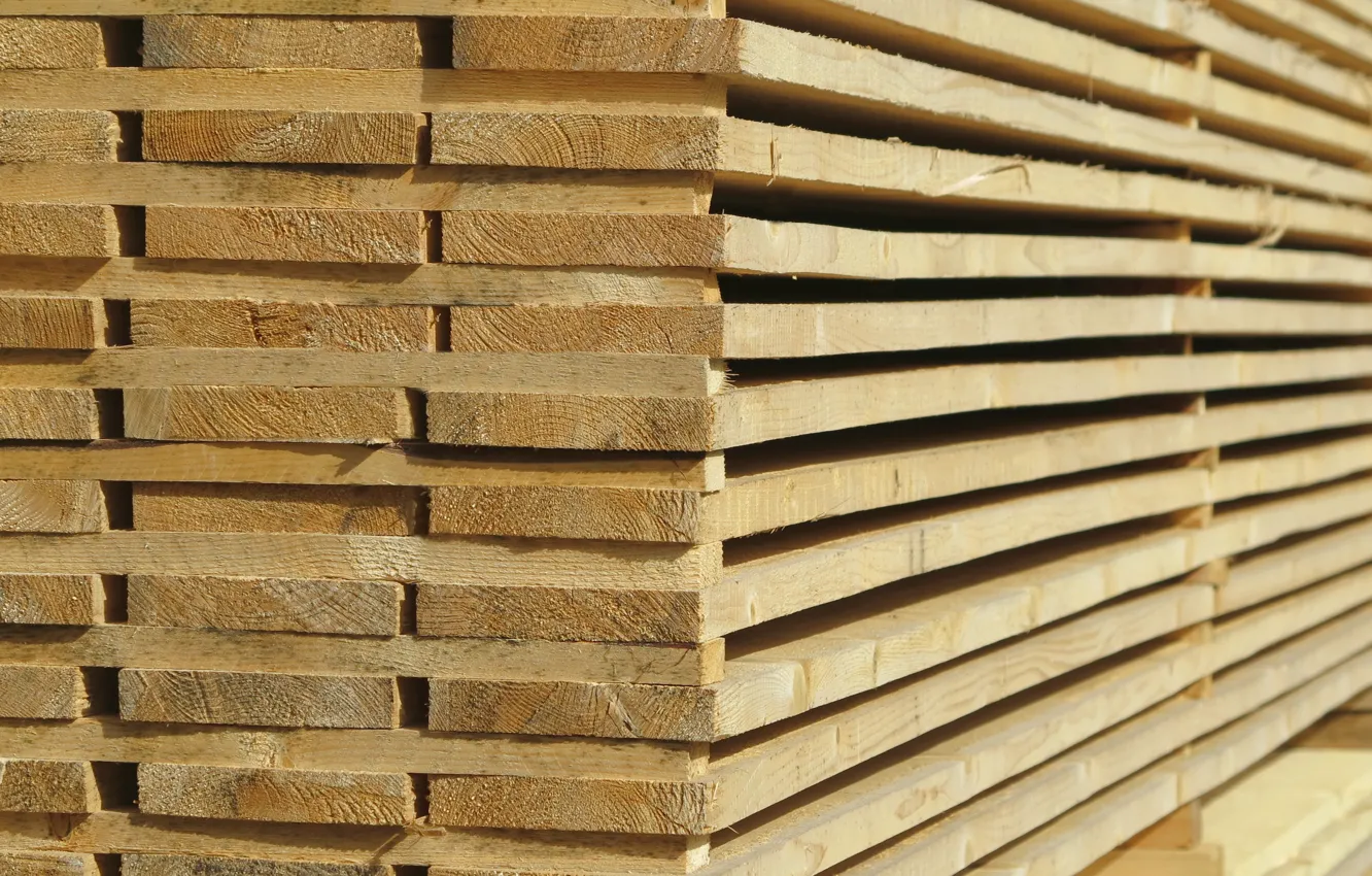Фото обои timber, lumber, sawmill
