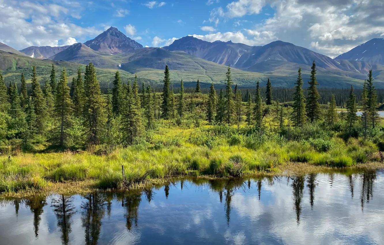 Фото обои деревья, горы, озеро, отражение, Аляска, Alaska, Denali National Park, Национальный парк Денали