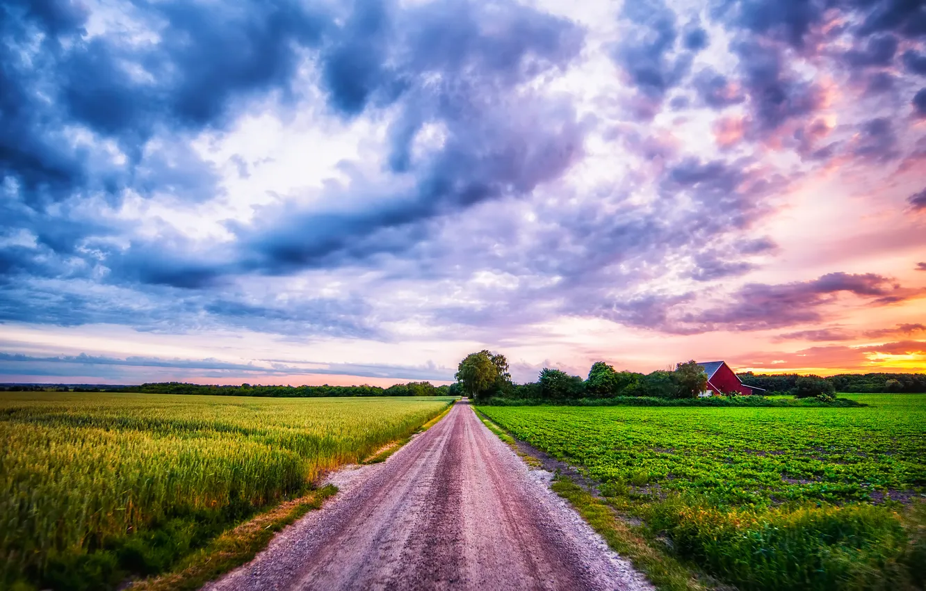 Фото обои дорога, поле, облака, деревья, закат, дом, ферма