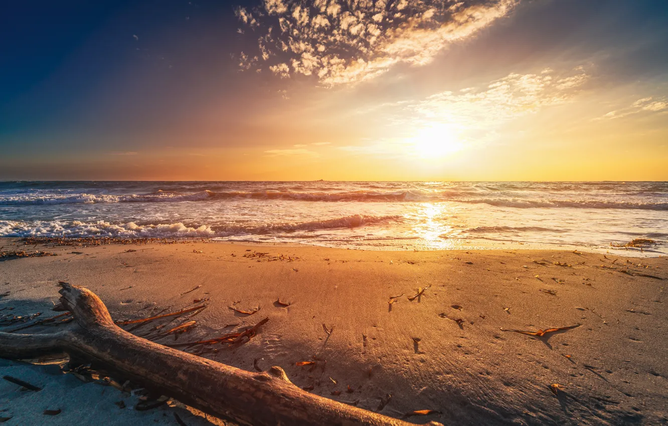 Фото обои песок, море, волны, пляж, солнце, свет, берег, бревно