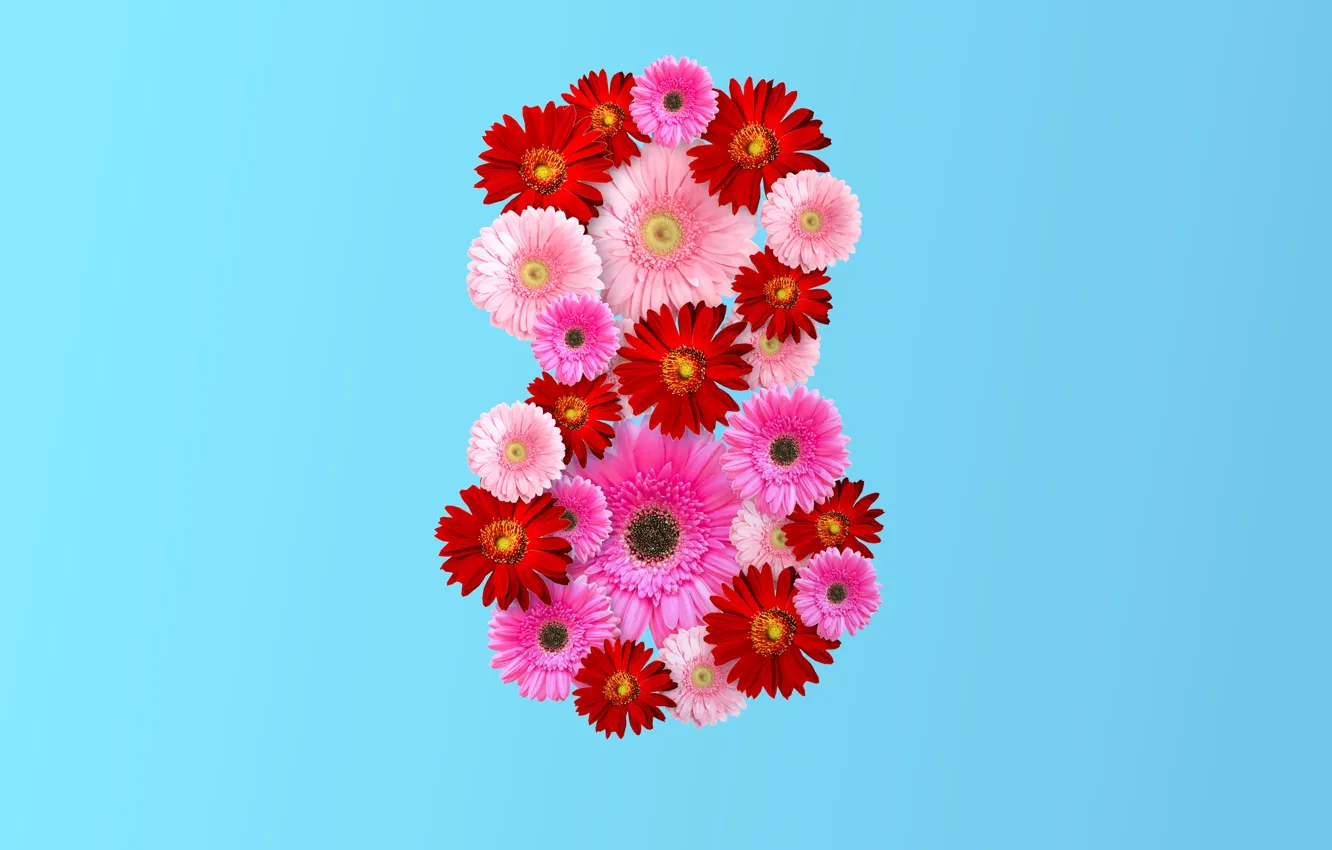 Фото обои цветы, цифра, розовые, 8 марта, pink, flowers, women's day