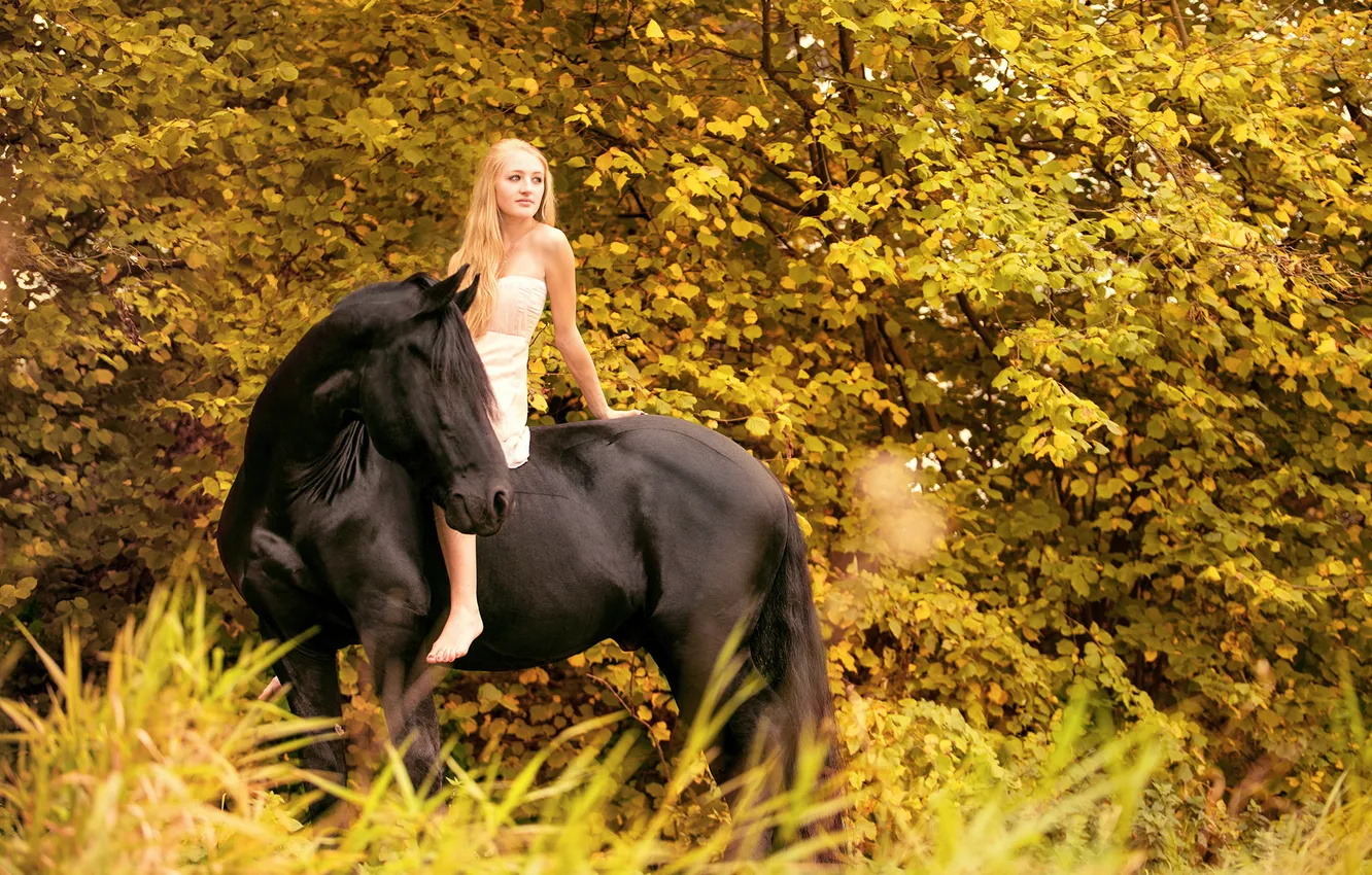Фото обои девушка, фон, конь