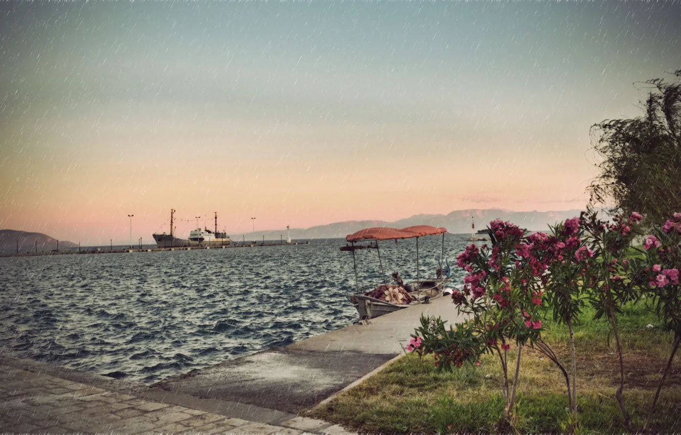 Фото обои море, цветок, дождь, лодка, корабль, куст, пристань, порт