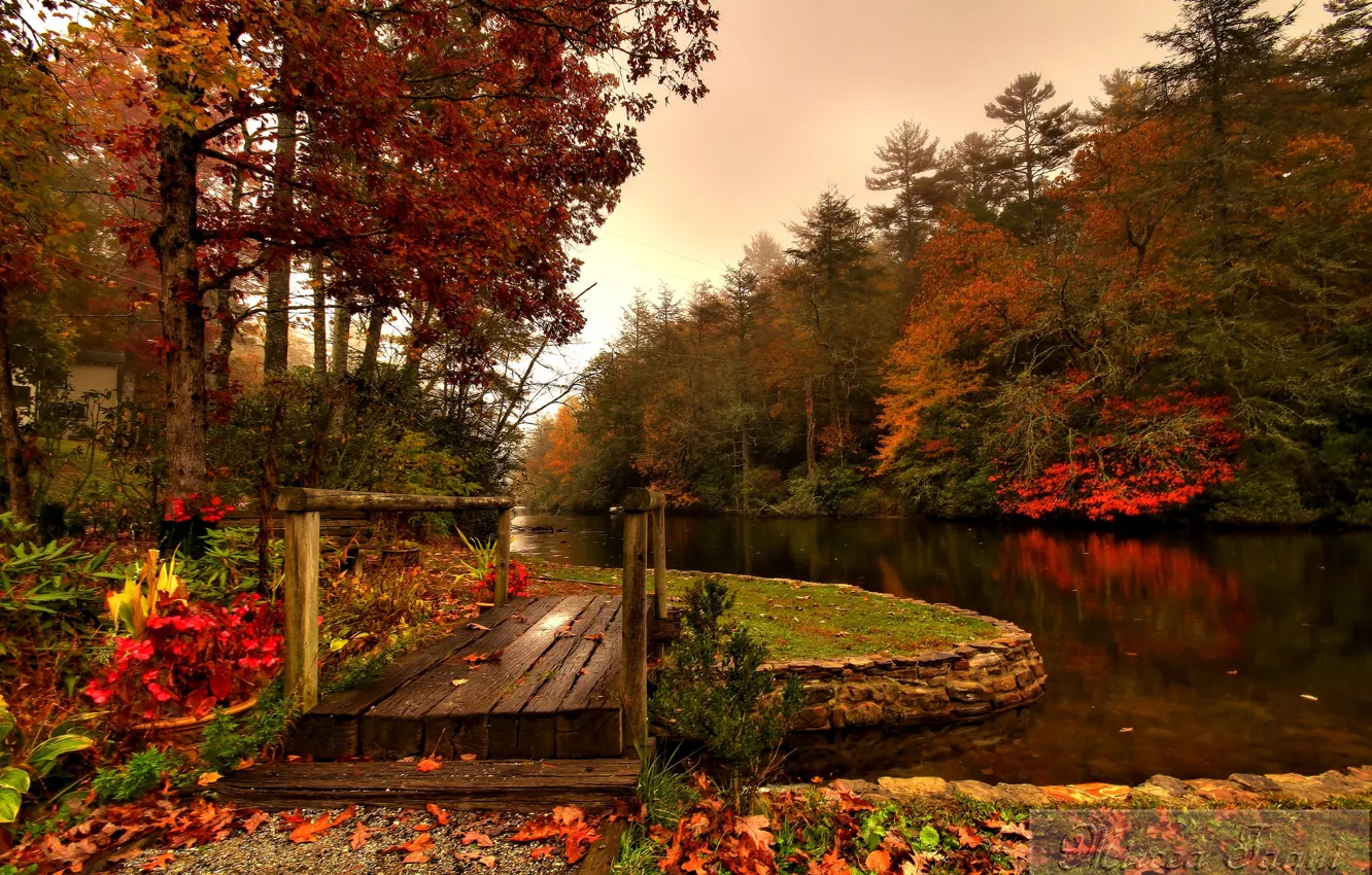 Фото обои осень, лес, река, мостик