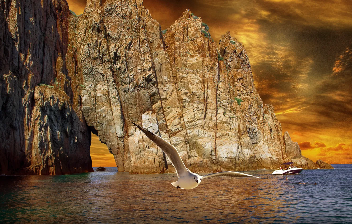 Фото обои море, рендеринг, скалы, птица, берег, чайка