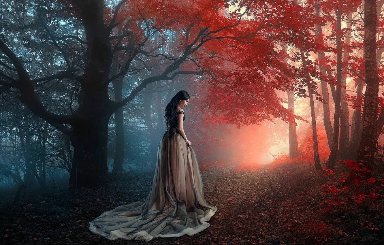 Фото обои осень, лес, девушка, деревья, настроение, платье, Ренат Хисматулин