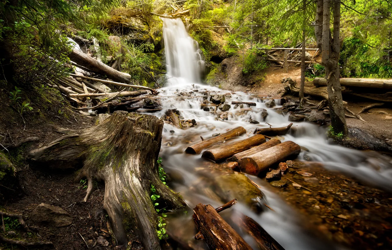 Фото обои лес, горы, водопад, речка, Colorado, Rocky Mountains