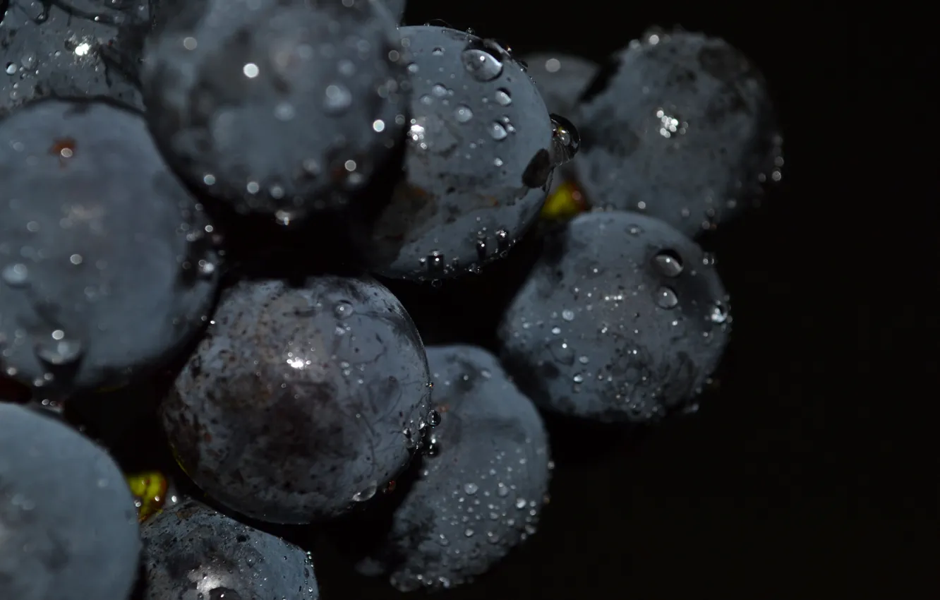 Фото обои капли, макро, виноград, черный фон