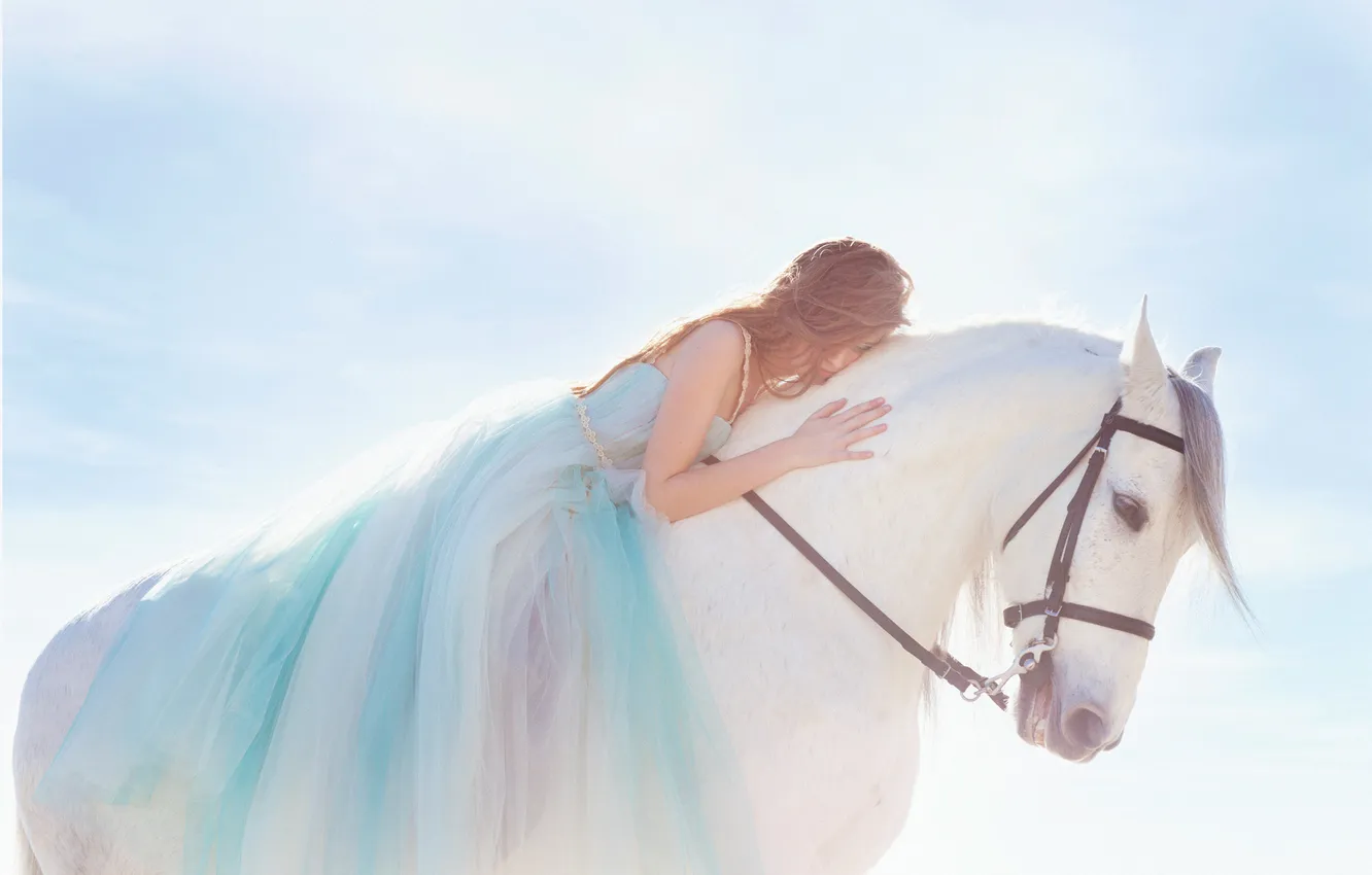 Фото обои девушка, лошадь, платье, белая
