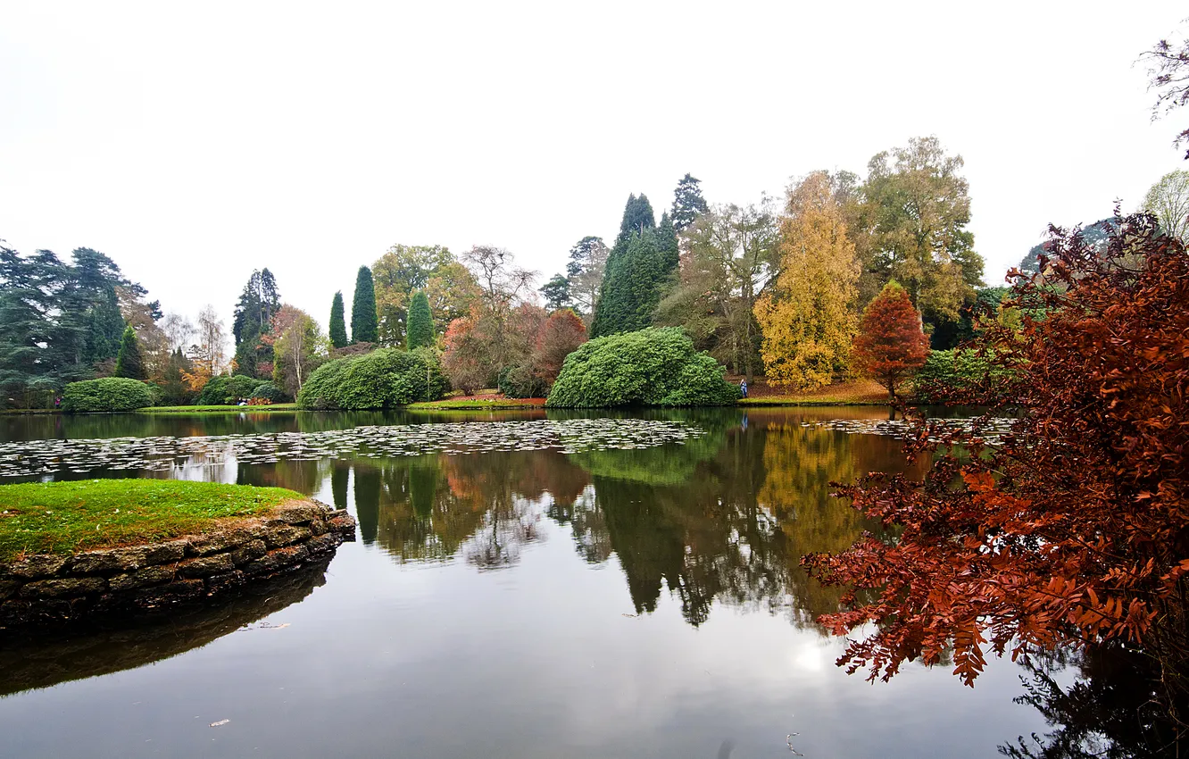 Фото обои осень, деревья, пруд, парк, Великобритания, Sheffield Park Garden