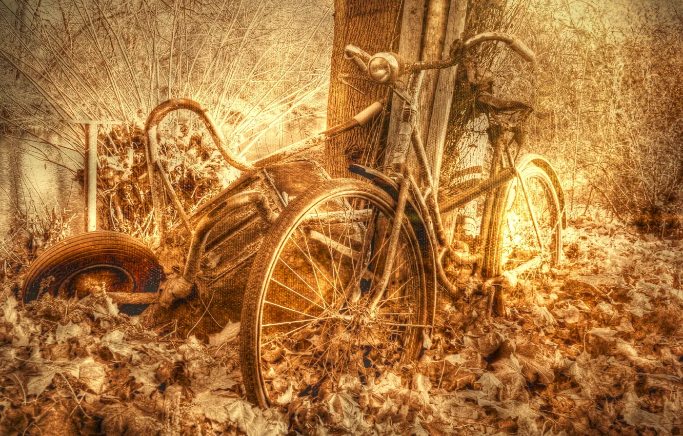 Фото обои велосипед, фон, текстура
