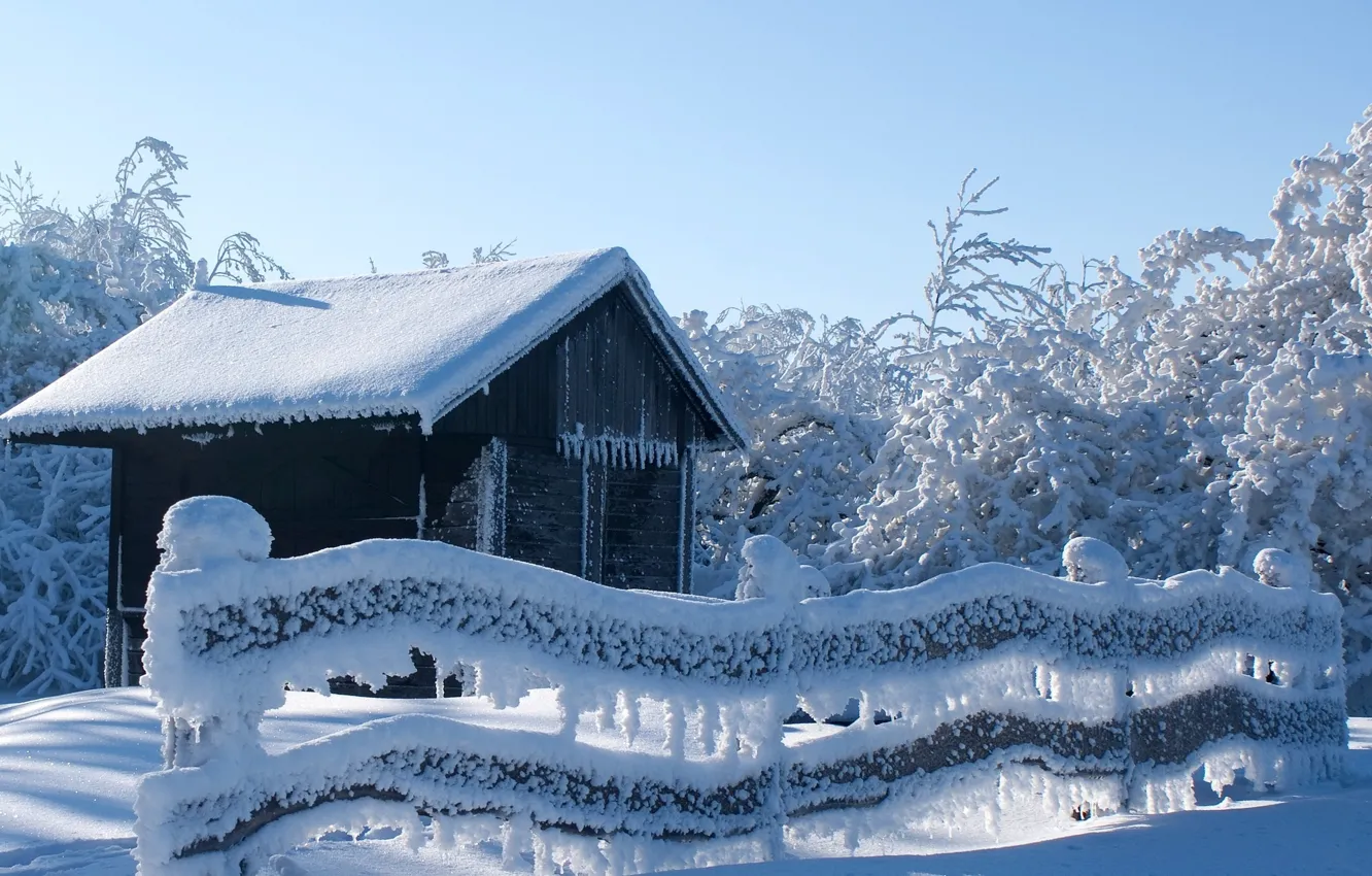 Фото обои зима, лес, небо, снег, деревья, забор, мороз, домик