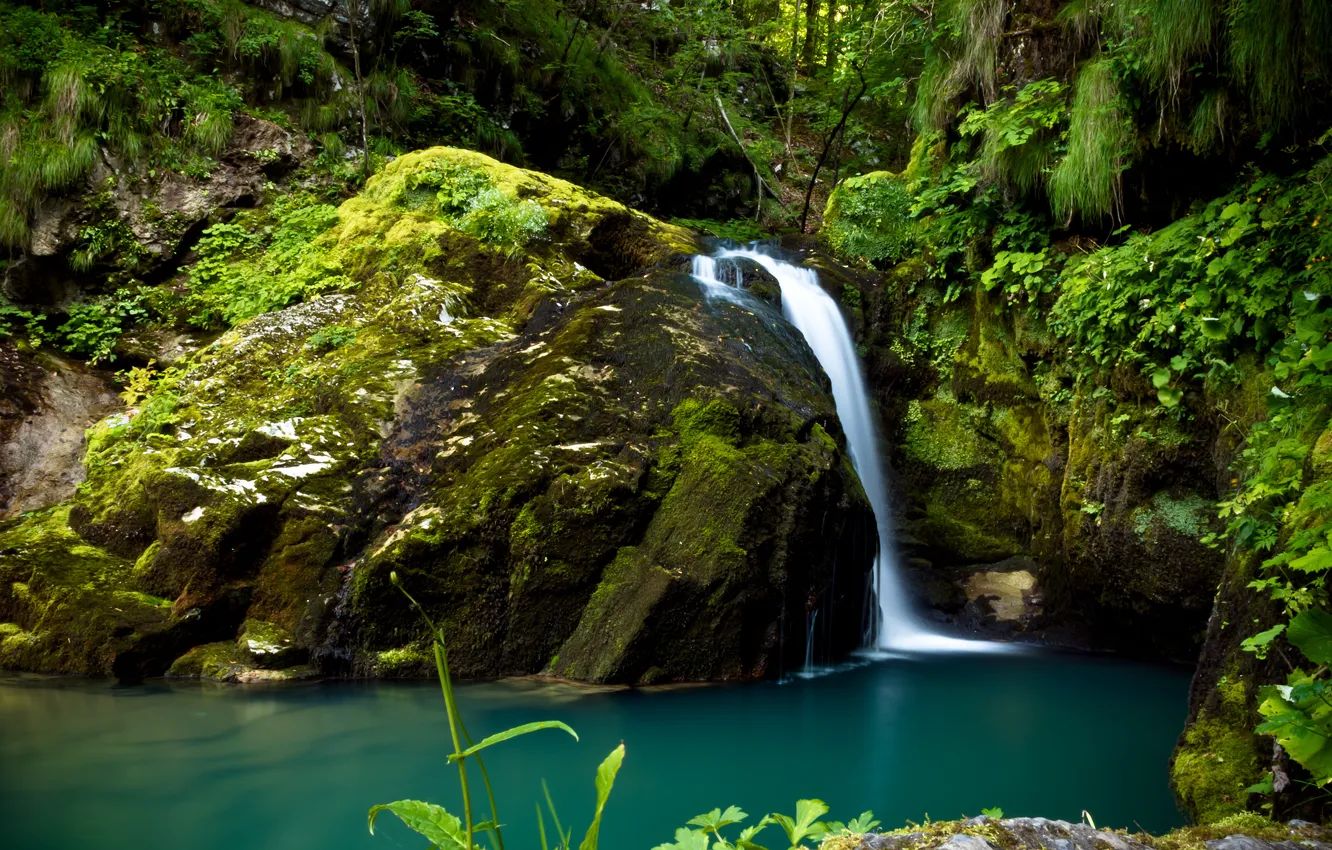 Фото обои зелень, лес, камни, водопад, мох, Хорватия