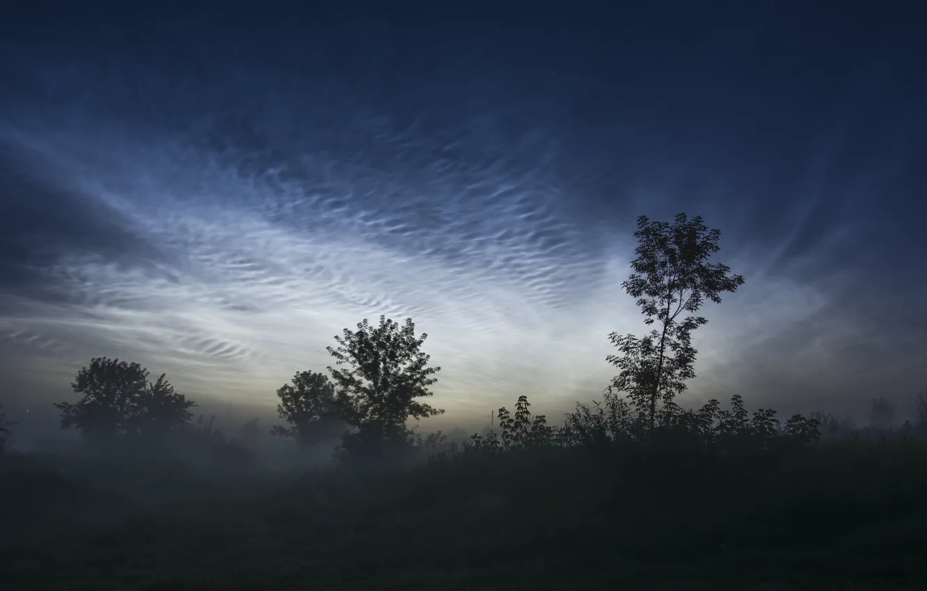 Фото обои облака, туман, рассвет, утро