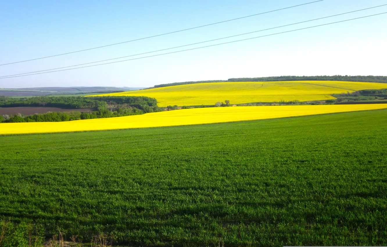 Фото обои небо, трава, красота