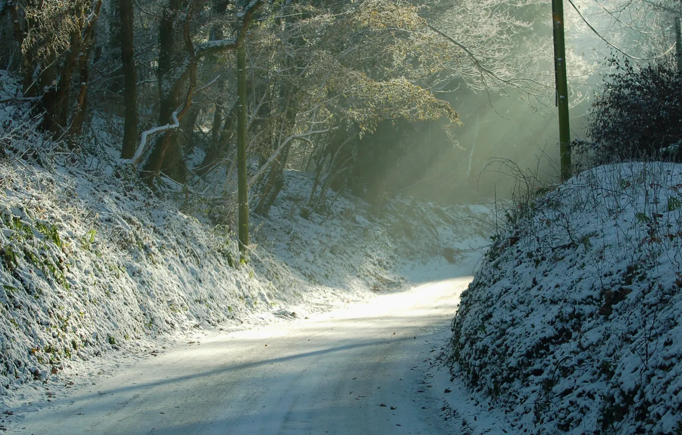 Фото обои зима, дорога, свет, природа, утро, поворот